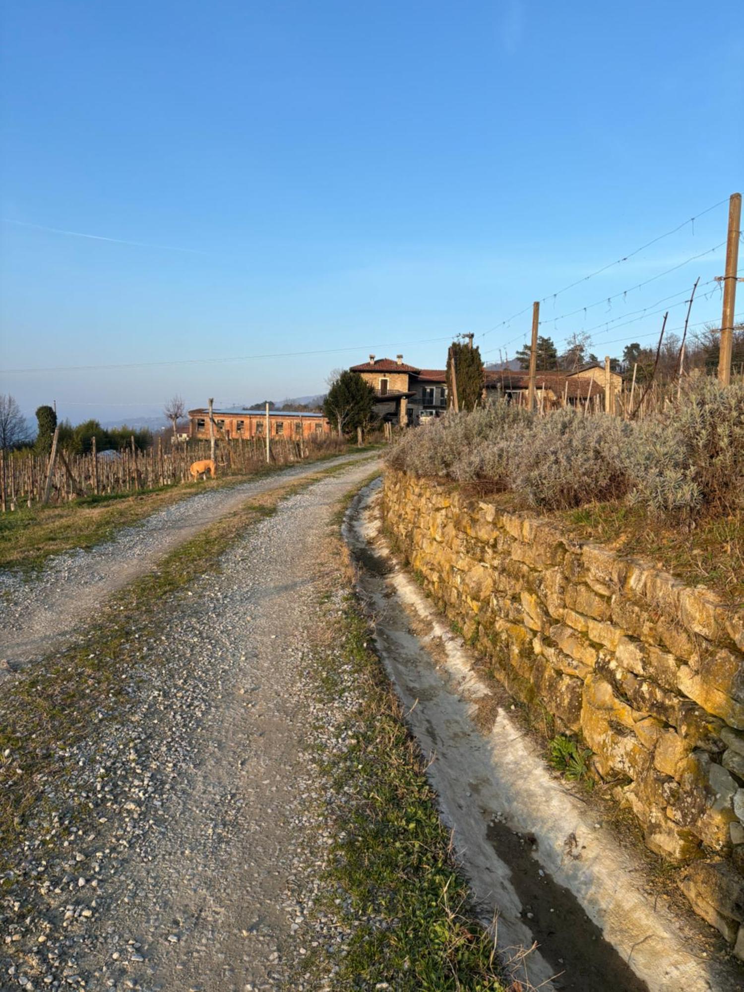 Agriturismo Tenuta San Giuseppe Cossano Belbo Exteriör bild