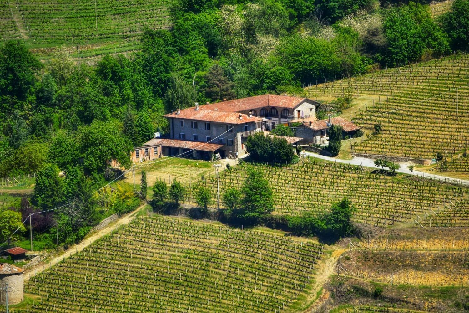 Agriturismo Tenuta San Giuseppe Cossano Belbo Exteriör bild