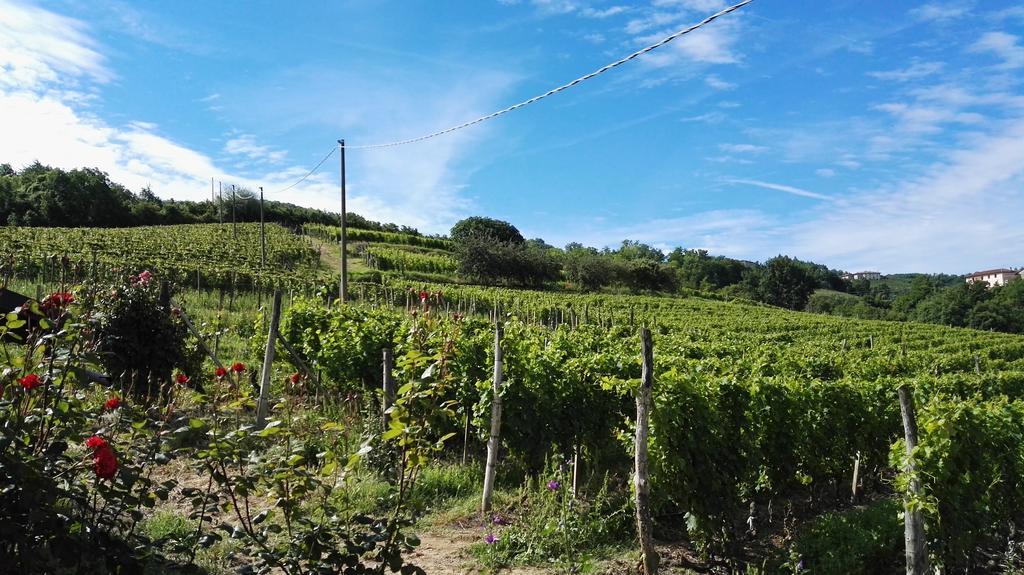 Agriturismo Tenuta San Giuseppe Cossano Belbo Exteriör bild